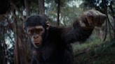 《猩球崛起：王國誕生》演員扮猩猩 先上6周「猿人學校」