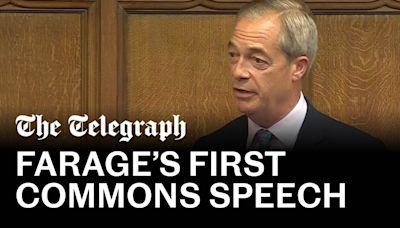 Watch: Farage attacks ‘little man’ Bercow in maiden speech in Parliament