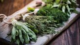 15 Mistakes Everyone Makes When Cooking With Herbs