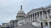 U.S. Senate Republican blocks legislation protecting in vitro fertilization