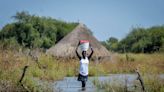 South Sudan suspends dredging of Naam river, Sudd wetlands