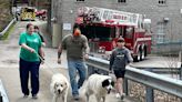 Volunteers rush to foster animals after U-Haul crashes into Kanawha-Charleston Humane Association building