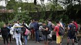 Más de 4.000 migrantes han retornado voluntariamente desde Panamá a Venezuela