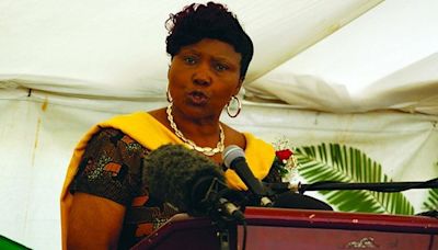 Only party bigwigs to attend ZANU PF People's Conference- Muchinguri | Zw News Zimbabwe