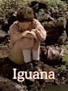 Iguana (film)