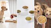 Treat your perfect pooch to healthy meals with 50% off your first Nom Nom dog food order