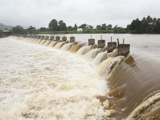 Monsoon active over central India, distribution still skewed: Meteorologists