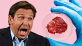 The Ban on “Lab-Grown” Meat is Both Reprehensible and Stupid ❧ Current Affairs