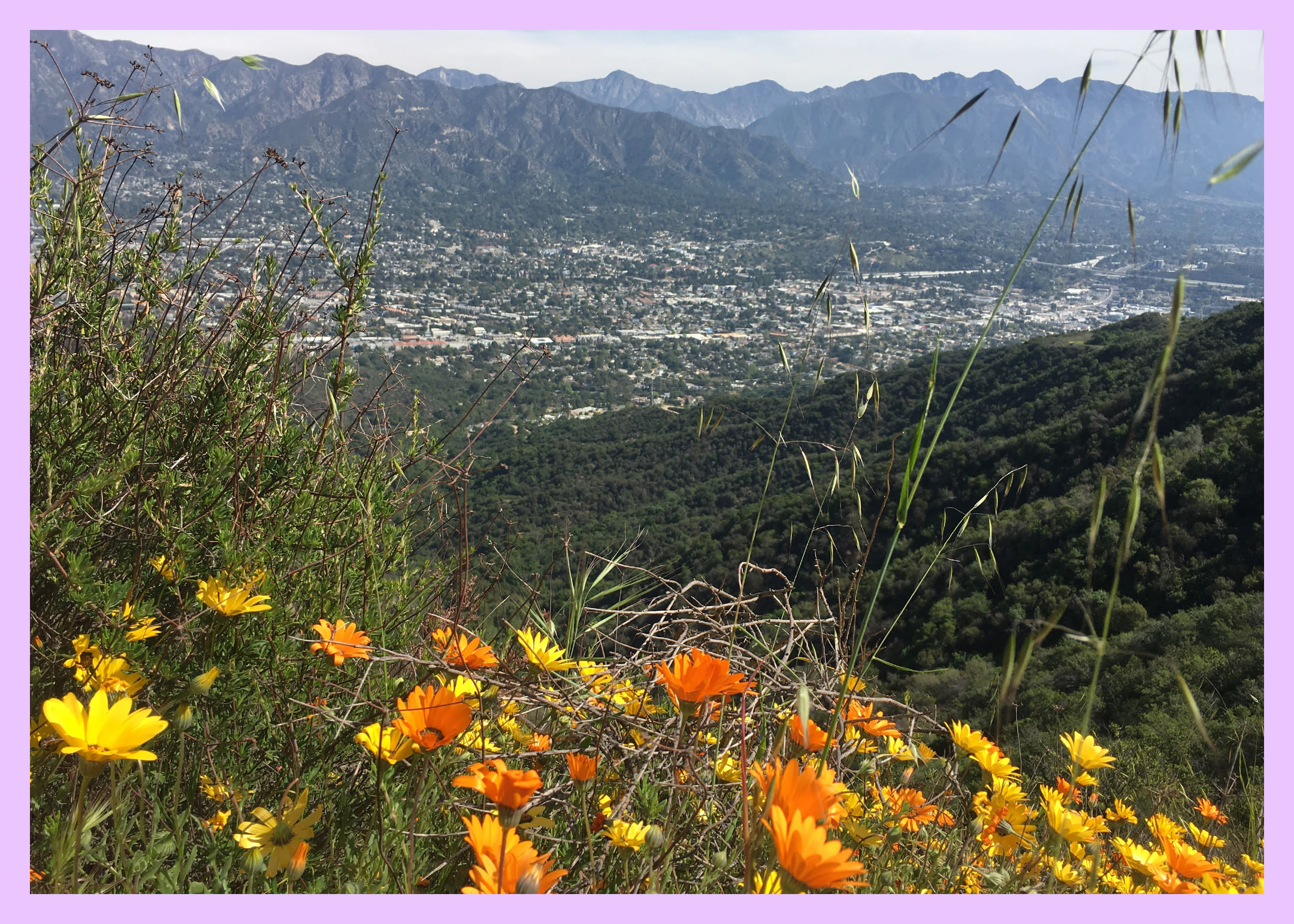 3 hassle-free L.A. hikes with free and easy parking