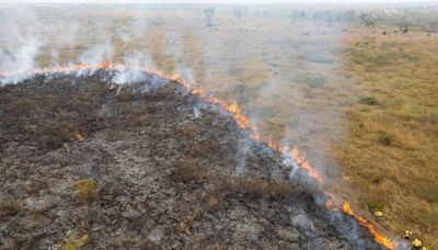 Brasil não tem estrutura contra fogo à altura da crise climática, diz presidente do Ibama