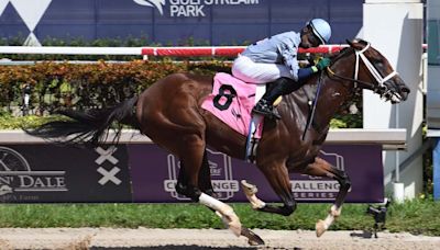 Kentucky Derby Runner Catalytic Returns In Gulfstream Sprint