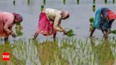 June rainfall deficient so far in 18 Maharashtra districts; sowing hit | Pune News - Times of India