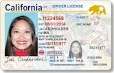 Real ID Act