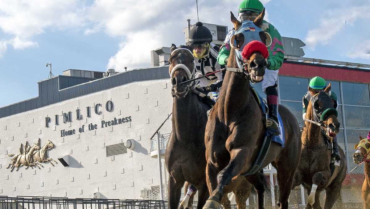 Preakness 2024: What you need to know