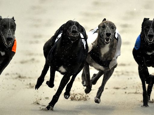 MSP wins enough support to introduce greyhound racing ban Bill at Holyrood