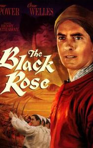 The Black Rose