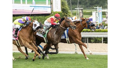 Kyle Frey rides Gold Phoenix to Whittingham Stakes win at Santa Anita