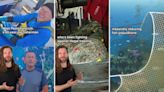 Hero fisherman builds incredible underwater sculptures to stop dangerous and illegal fishing practices: ‘It’s working’