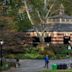 Central Park Carousel