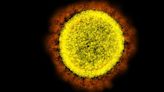 China’s COVID-19 Surge Raises Odds Of New Mutant Coronavirus Variant