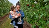 Time's ripe to pick apples at these Central Mass. orchards