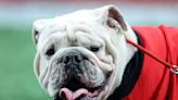 Georgia's Bulldog Mascot Uga X Dead at 10: 'Damn Good Dog'