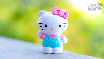 Hello Kitty竟「不是無嘴貓」！官方揭真實身分 誤會50年了│TVBS新聞網