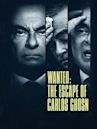 Wanted: The Escape of Carlos Ghosn