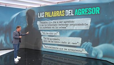 La declaración del presunto autor de la agresión mortal tras el concierto de Karol G: "Me arrepiento"