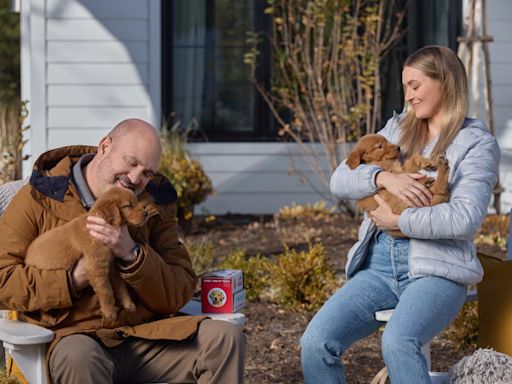 Stream It Or Skip It: 'Everything Puppies' on Hallmark, a romance that combines love, puppies, and corporate villainy into one weirdly pleasing movie