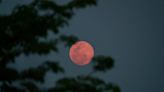 Full ‘Strawberry Moon’ will brighten the first day of summer this year