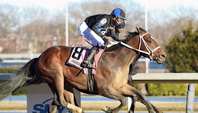 Withers Stakes Winner Uncle Heavy to Run in Preakness