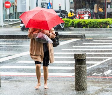 梅雨季來了「這天報到」，雨下多久？影響最劇時間曝光...哪個水庫水位大進補，專家：1水庫可惜了