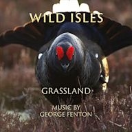 Grassland