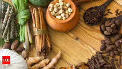 APPG pushes for Ayurveda integration in UK’s healthcare system | Amritsar News - Times of India