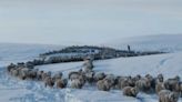 La dramática postal de la hacienda por las intensas nevadas en la Patagonia