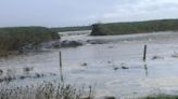 Birds delay riverbank repairs after flooding