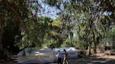 Asylum seekers stranded in Cyprus buffer zone fall foul of conflict