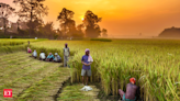 Budget 2024: Banks seek hike in interest subvention on farm loans - The Economic Times