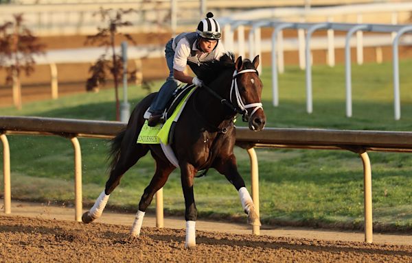 Endlessly jockey, trainer, odds and more to know about Kentucky Derby 2024 horse