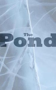 The Pond