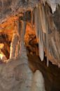 Lake Shasta Caverns