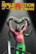 The Resurrection of Jake the Snake