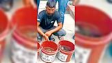 Wildlife smuggler carrying 100 baby turtles in bag on scooter arrested
