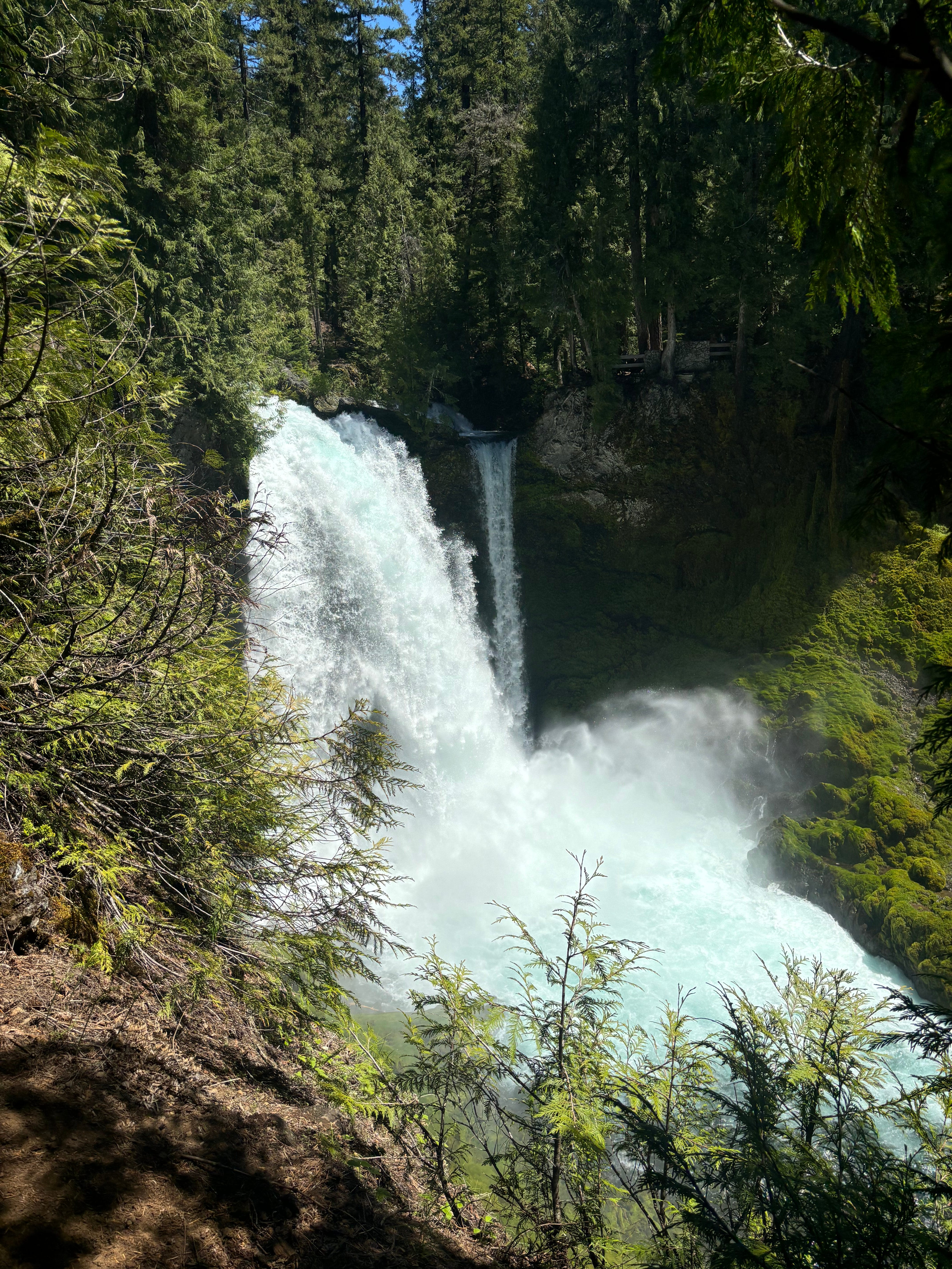 74-year-old man rescued after falling 40 feet near base of Sahalie Falls