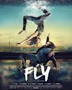 Fly