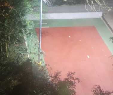 白蟻入屋｜雨季來臨數十飛蟻湧入屋 黃大仙街坊憂後患無窮全屋閂燈自保【附5招預防】