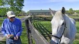 For ex-Derby winner Silver Charm, it's a life of leisure and Old Friends at Kentucky retirement farm