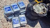 Scuba divers discover 25 kilograms of suspected cocaine off Key Largo coast - WSVN 7News | Miami News, Weather, Sports | Fort Lauderdale