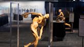 Bodies Human: National exhibit puts bones, organs on display in Panama City Beach